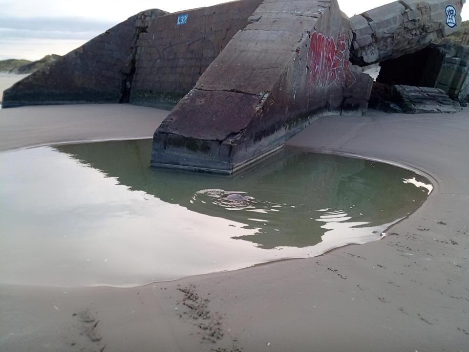 Joe Cocker Apartment Dunkirk Luaran gambar